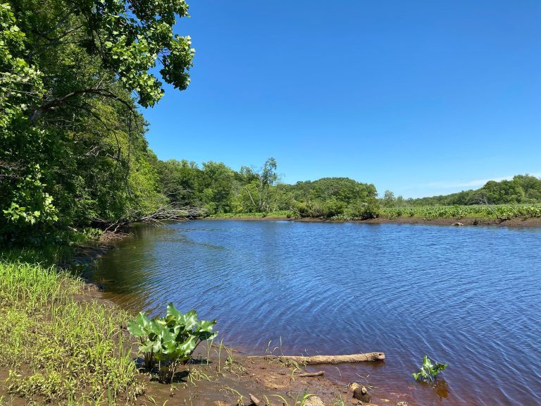 Rancocas State Park 1